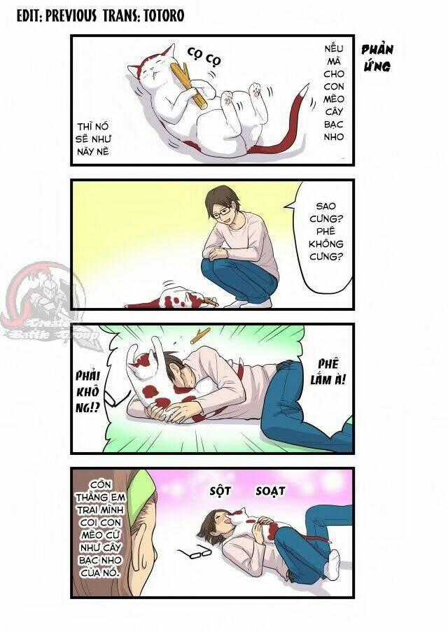 Cat is silver vine - Chapter 1 - Trang 2