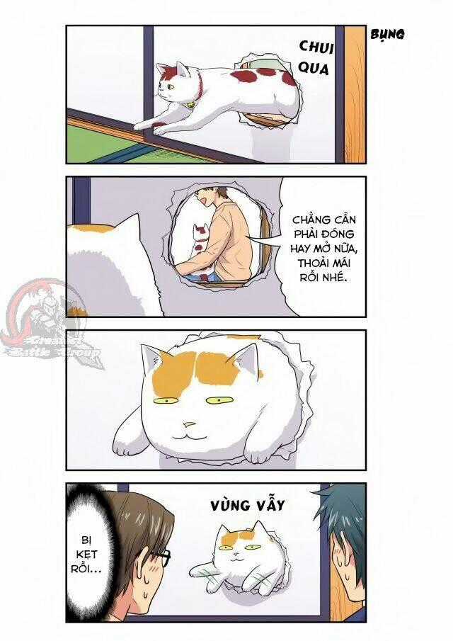 Cat is silver vine - Chapter 10 - Trang 2