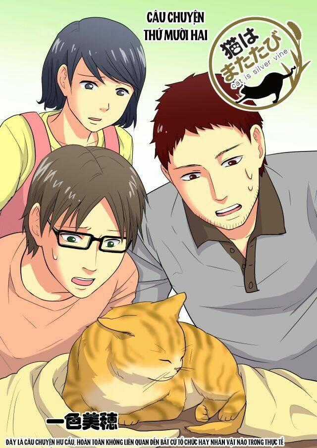Cat is silver vine - Chapter 12 - Trang 1