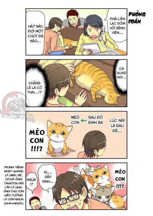 Cat is silver vine - Chapter 12 - Trang 3