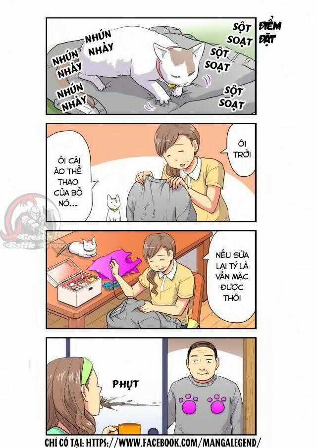 Cat is silver vine - Chapter 13 - Trang 8