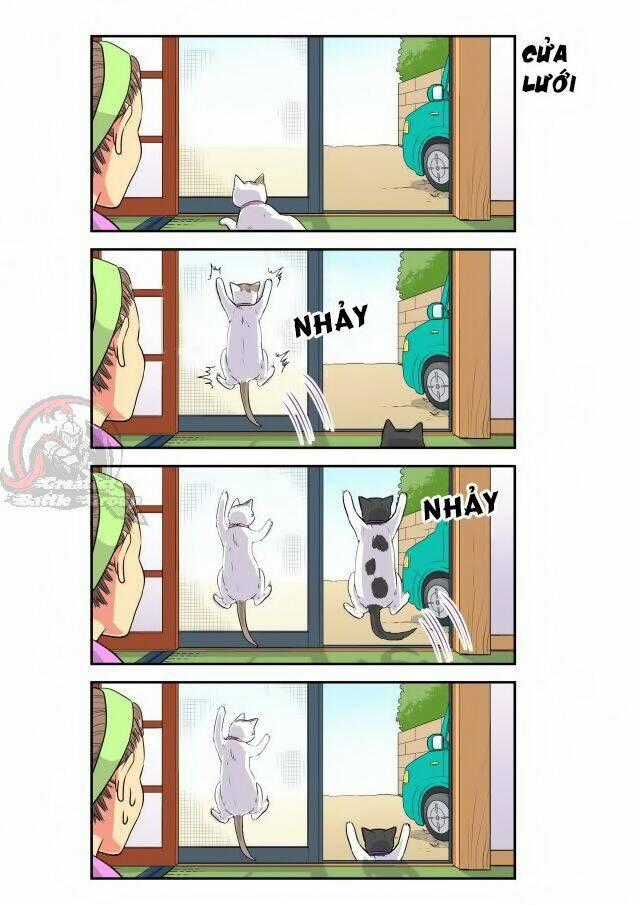 Cat is silver vine - Chapter 18 - Trang 3