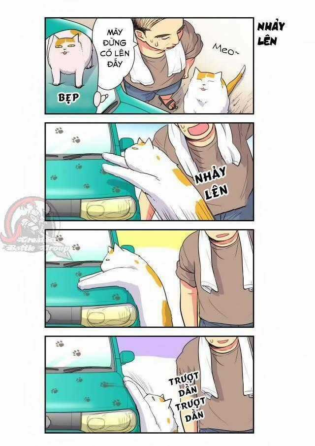 Cat is silver vine - Chapter 19 - Trang 1