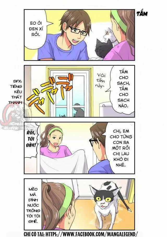 Cat is silver vine - Chapter 19 - Trang 4