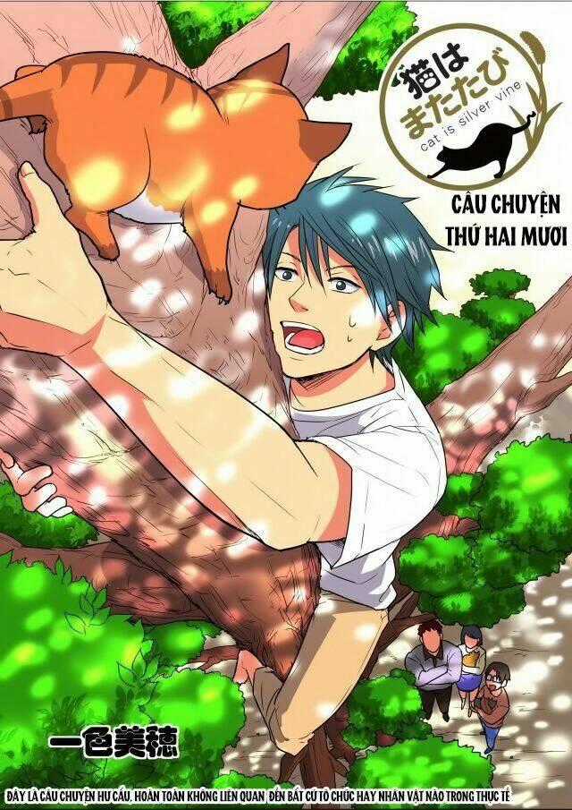 Cat is silver vine - Chapter 20 - Trang 1