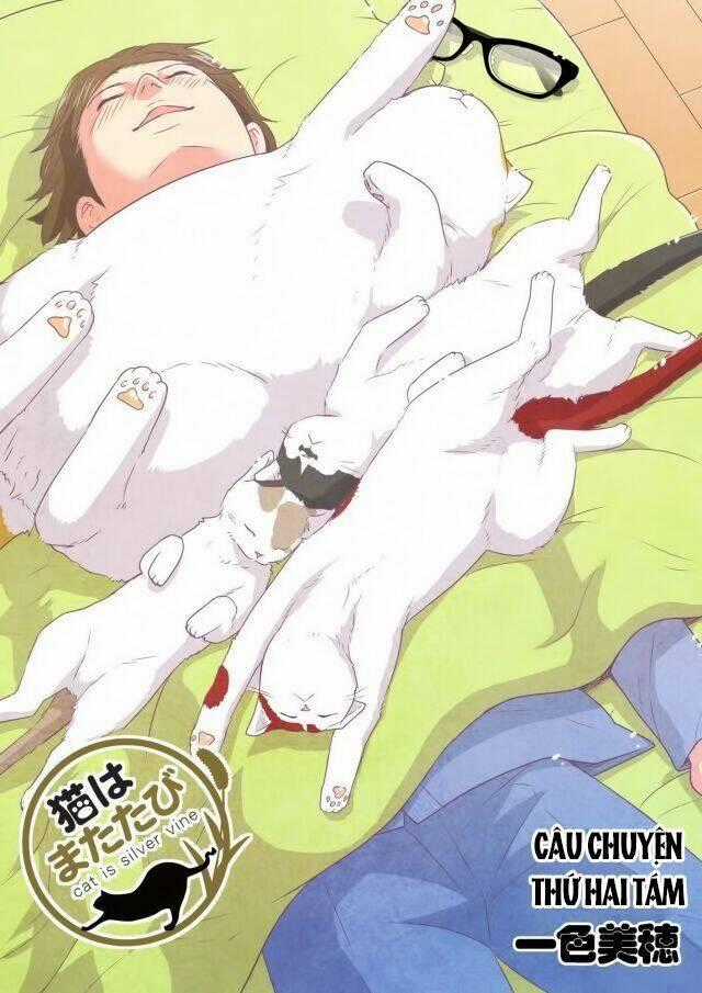 Cat is silver vine - Chapter 28 - Trang 1