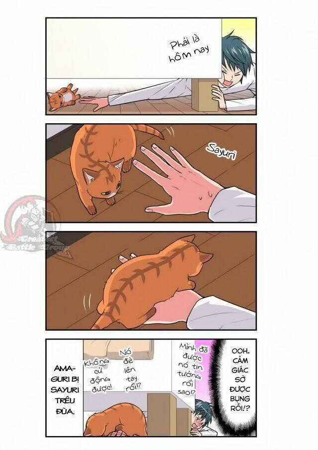 Cat is silver vine - Chapter 28 - Trang 7