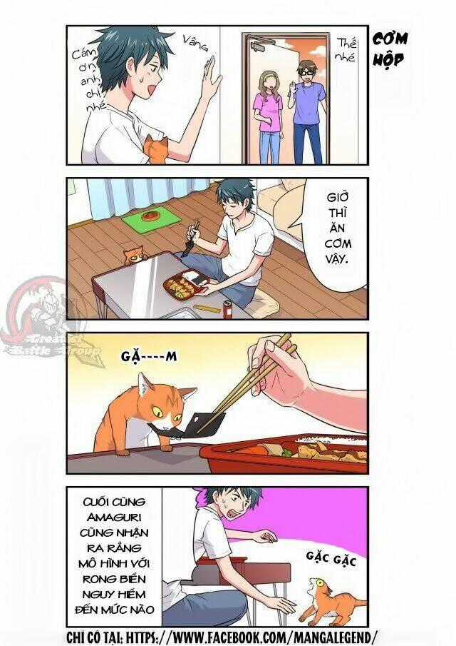 Cat is silver vine - Chapter 29 - Trang 8