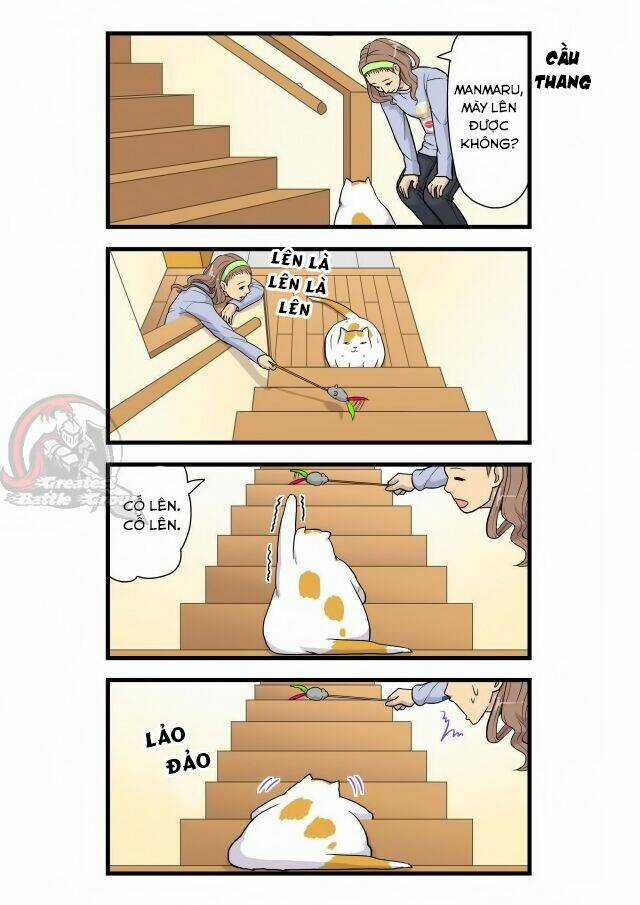 Cat is silver vine - Chapter 3 - Trang 5