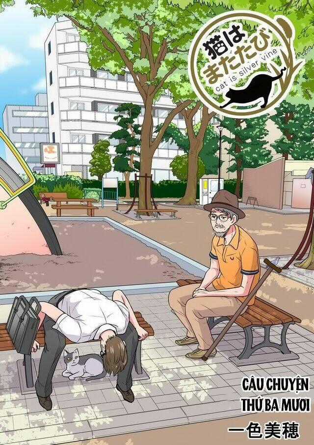 Cat is silver vine - Chapter 30 - Trang 1