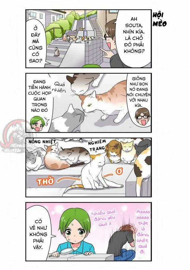 Cat is silver vine - Chapter 33 - Trang 7