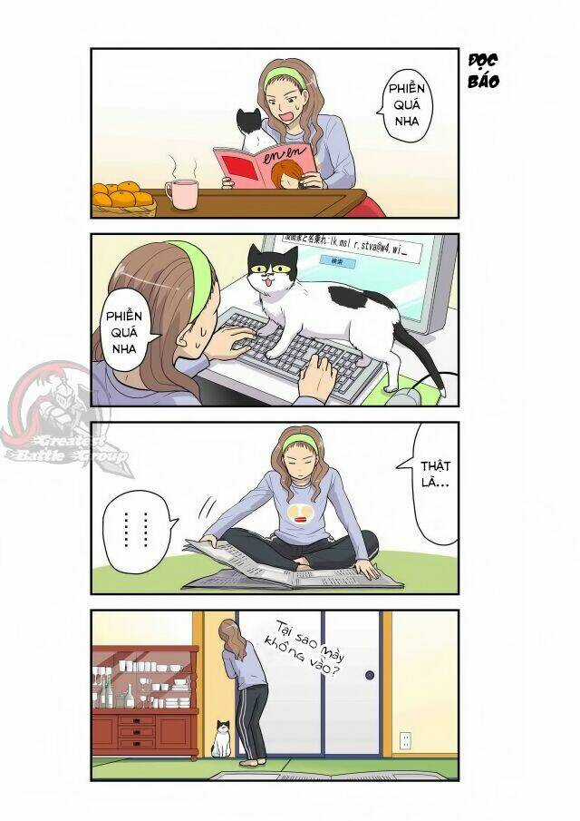 Cat is silver vine - Chapter 4 - Trang 5