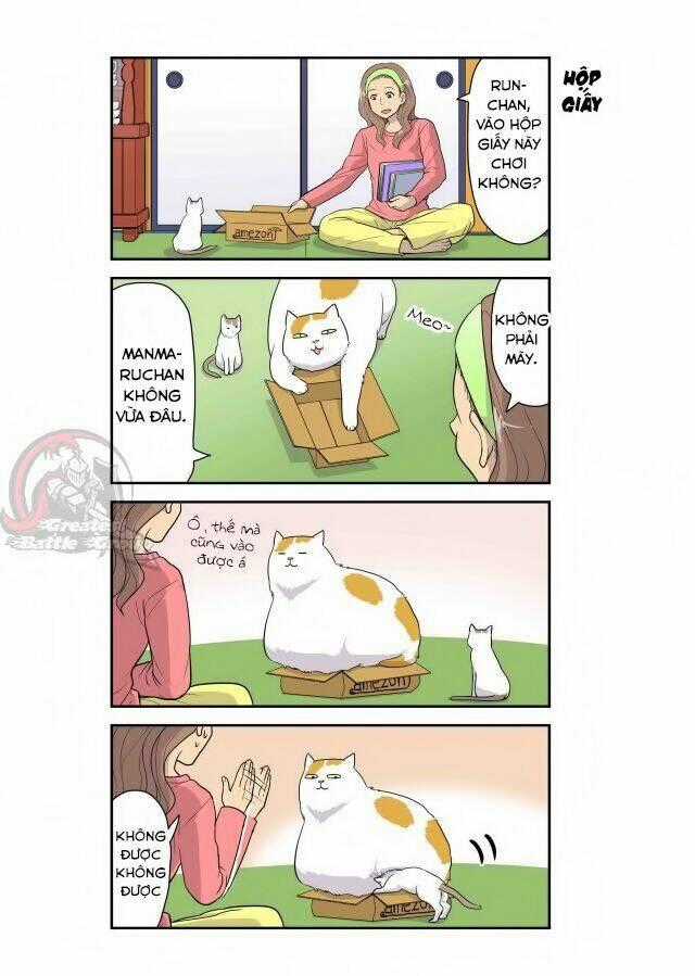 Cat is silver vine - Chapter 4 - Trang 7