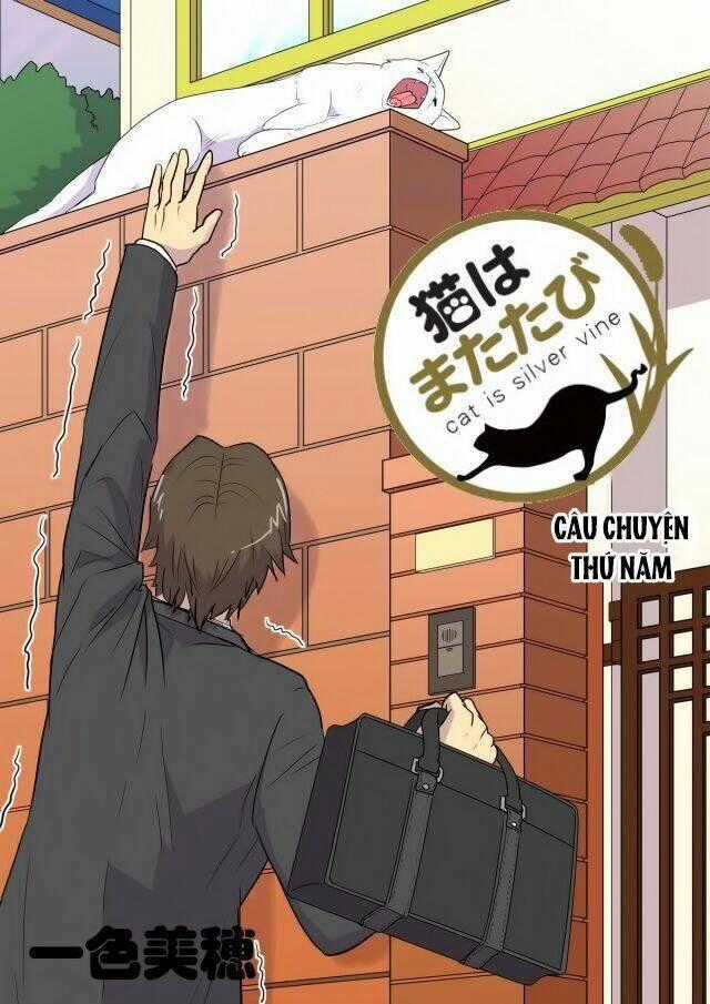 Cat is silver vine - Chapter 5 - Trang 1