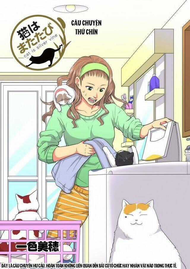 Cat is silver vine - Chapter 9 - Trang 1