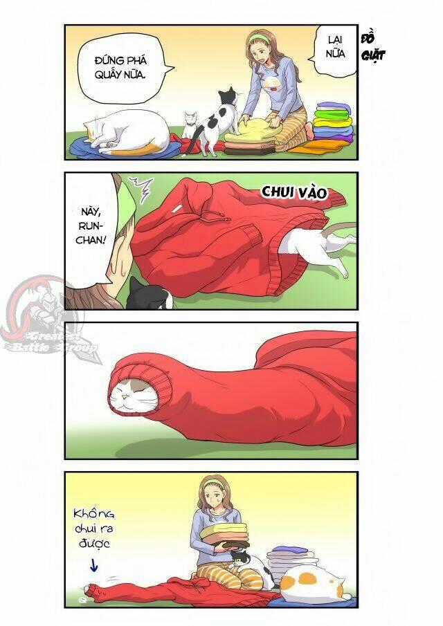 Cat is silver vine - Chapter 9 - Trang 7