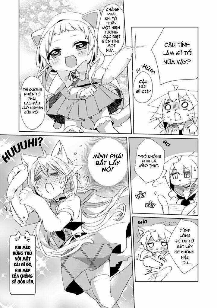 Catulus Syndrome - Chapter 31 - Trang 8