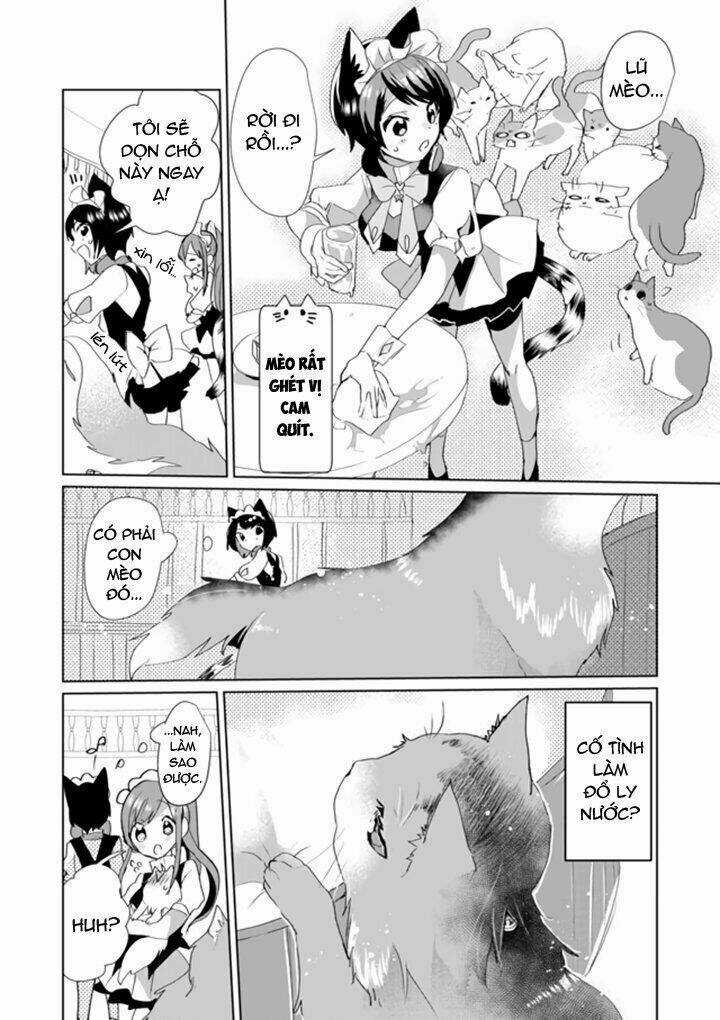 Catulus Syndrome - Chapter 33 - Trang 11