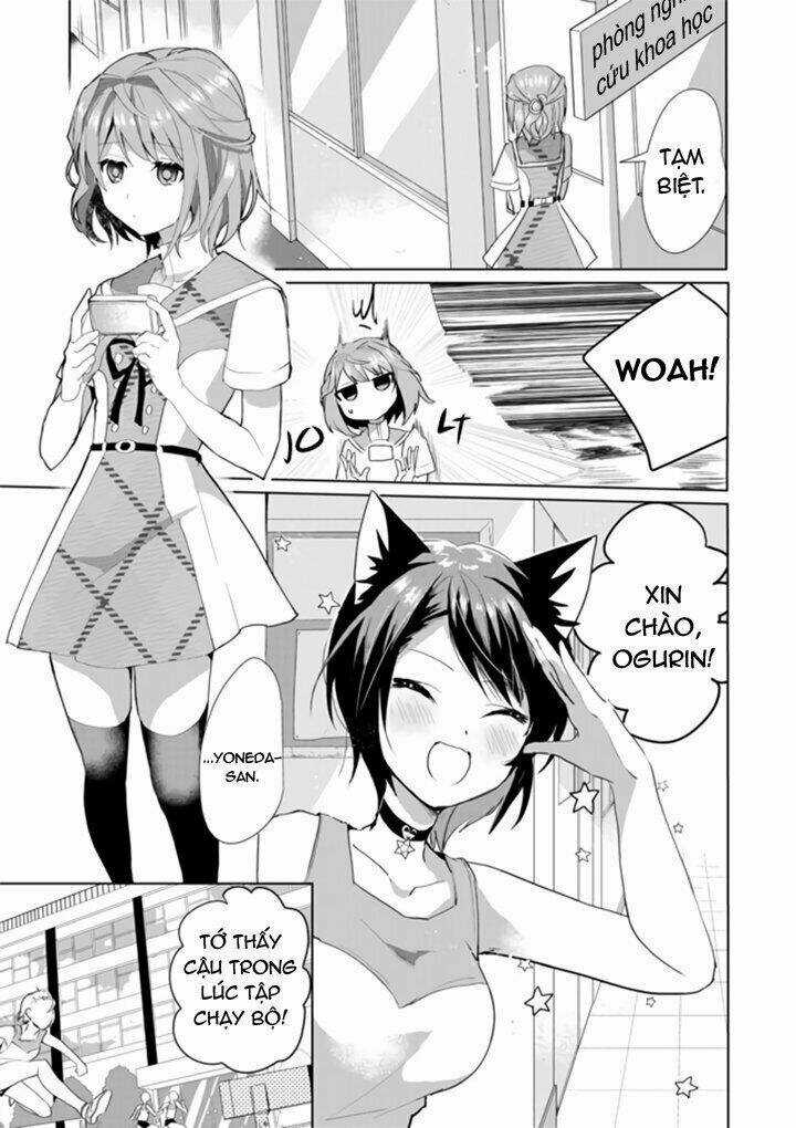 Catulus Syndrome - Chapter 33 - Trang 3