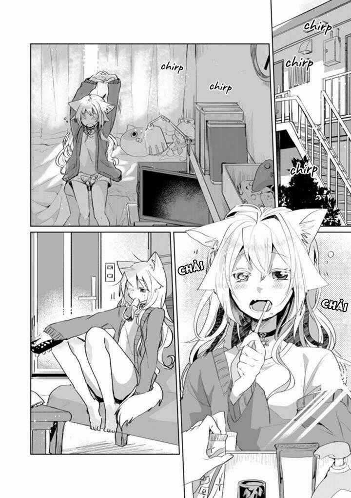 Catulus Syndrome - Chapter 37 - Trang 2