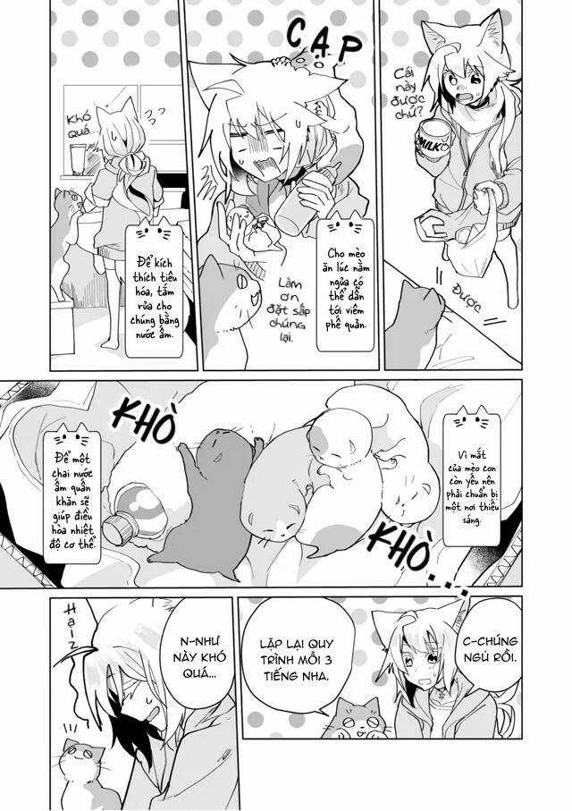 Catulus Syndrome - Chapter 71 - Trang 10