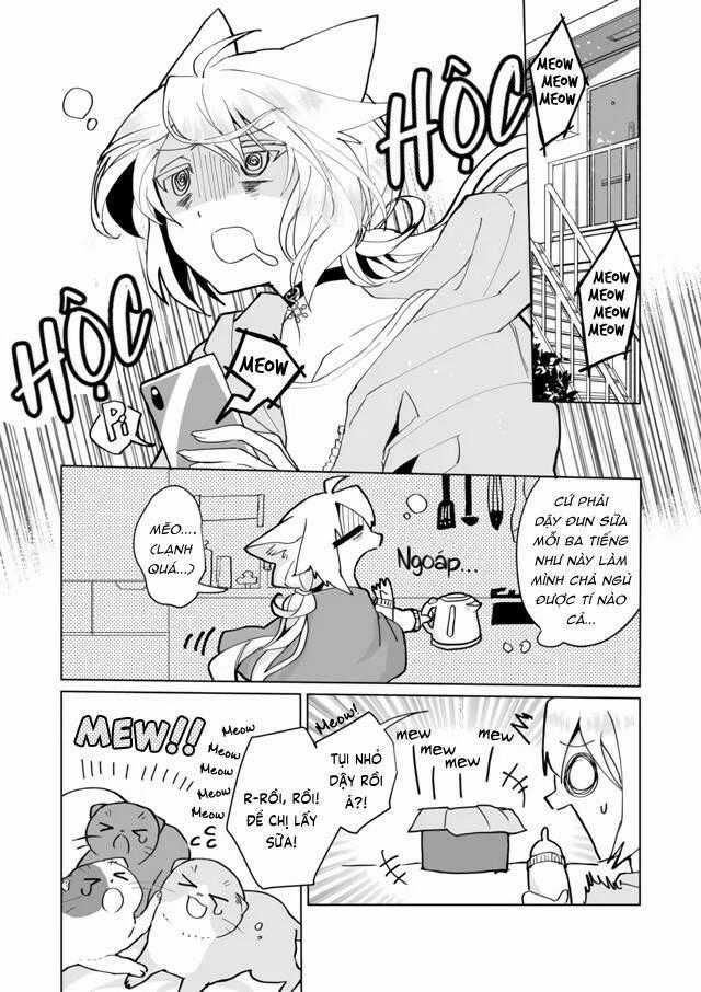 Catulus Syndrome - Chapter 72 - Trang 2