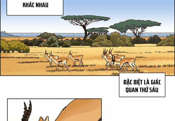 Cậu Ấy Xinh Quá! - Chapter 3 - Trang 3