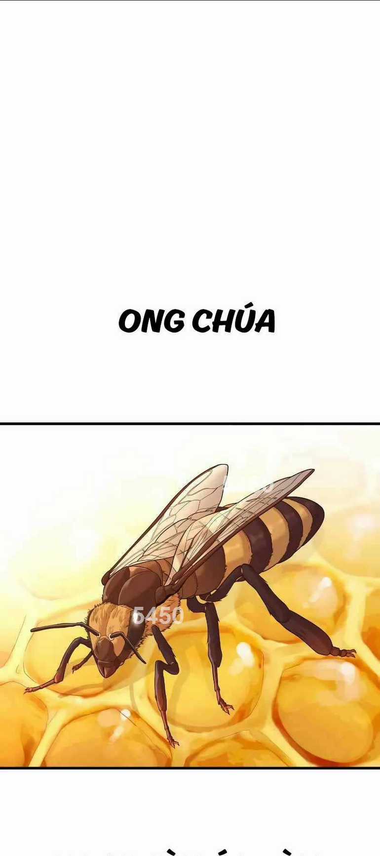 Cậu Bé Tội Phạm - Chapter 52 - Trang 1