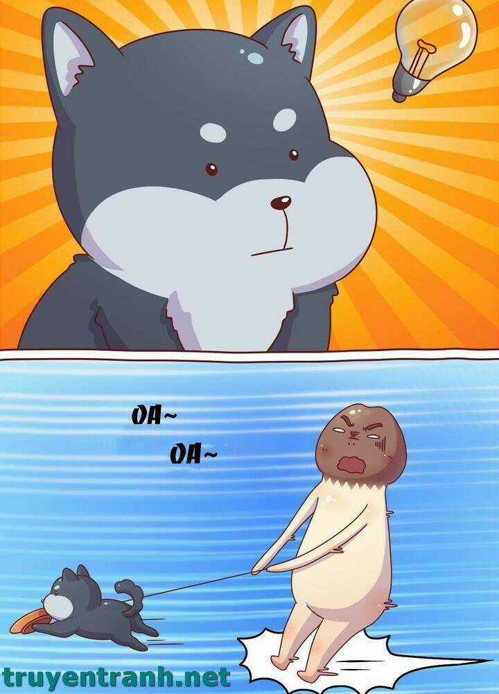 Cây Nấm Kì Khả - Chapter 10 - Trang 6