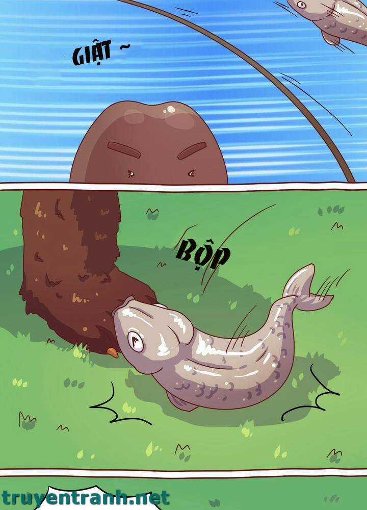 Cây Nấm Kì Khả - Chapter 14 - Trang 5