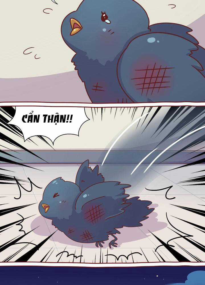 Cây Nấm Kì Khả - Chapter 17 - Trang 5