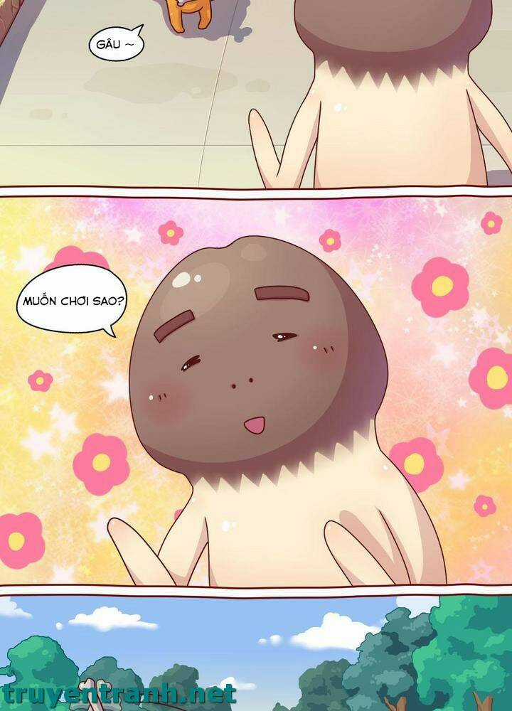 Cây Nấm Kì Khả - Chapter 2 - Trang 5