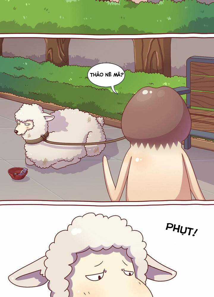 Cây Nấm Kì Khả - Chapter 20 - Trang 3