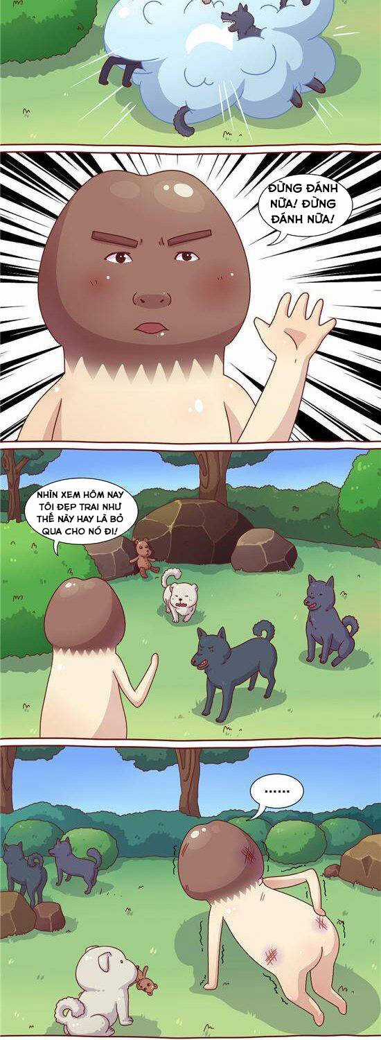 Cây Nấm Kì Khả - Chapter 22 - Trang 3