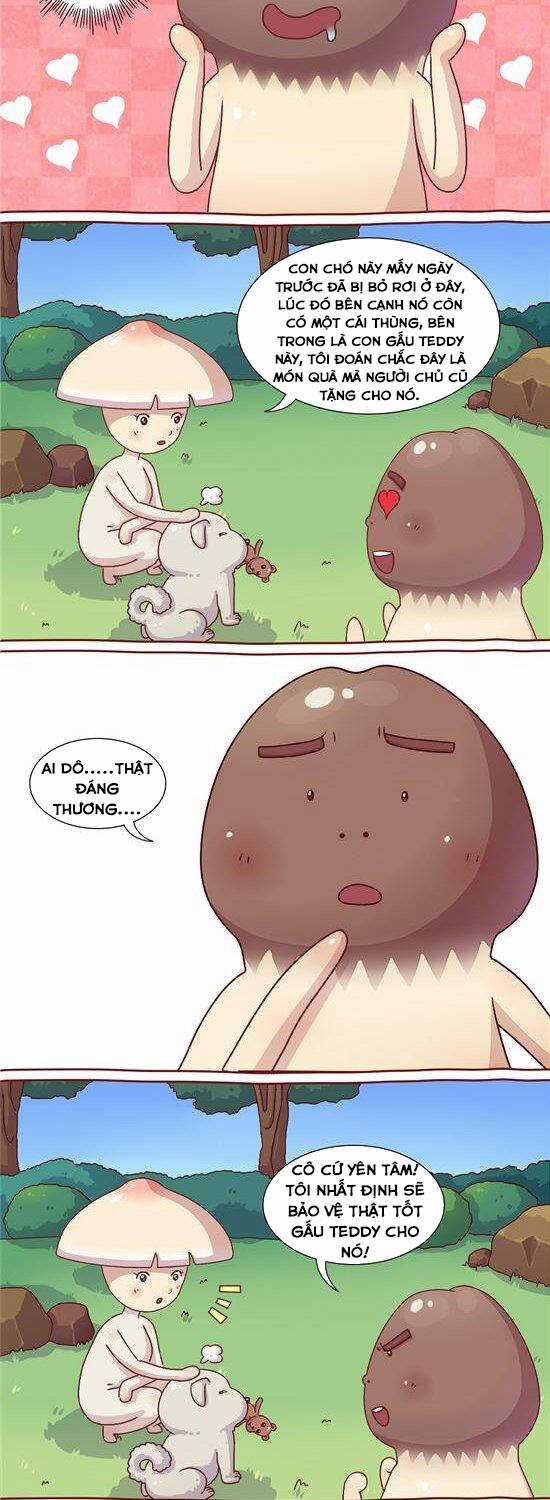 Cây Nấm Kì Khả - Chapter 22 - Trang 5