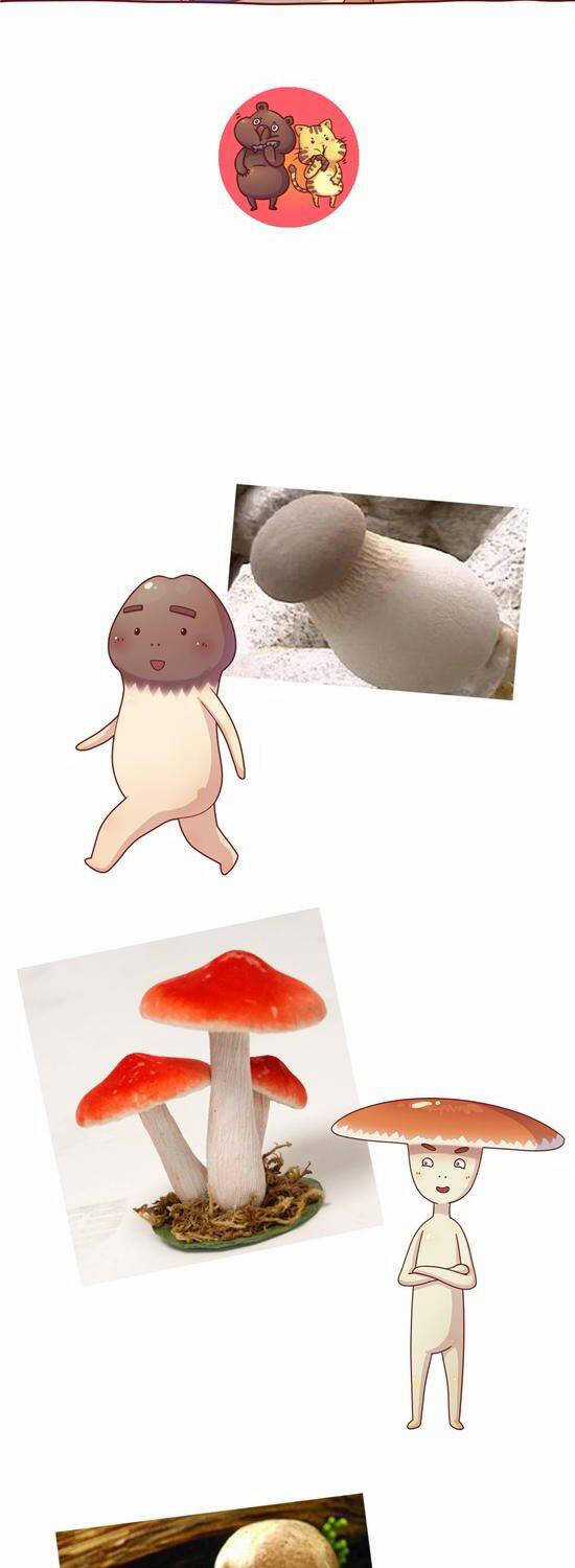 Cây Nấm Kì Khả - Chapter 22 - Trang 8