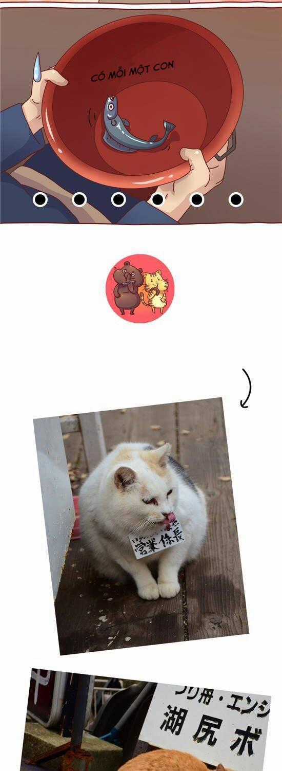 Cây Nấm Kì Khả - Chapter 30 - Trang 8