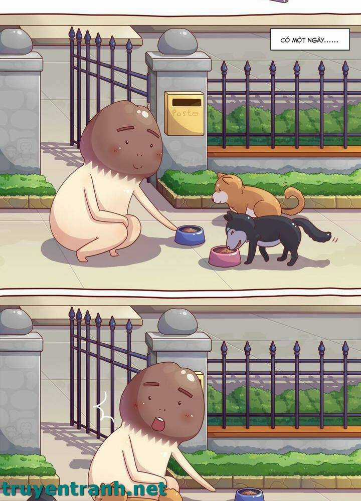 Cây Nấm Kì Khả - Chapter 6 - Trang 3