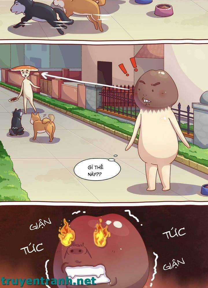 Cây Nấm Kì Khả - Chapter 6 - Trang 4