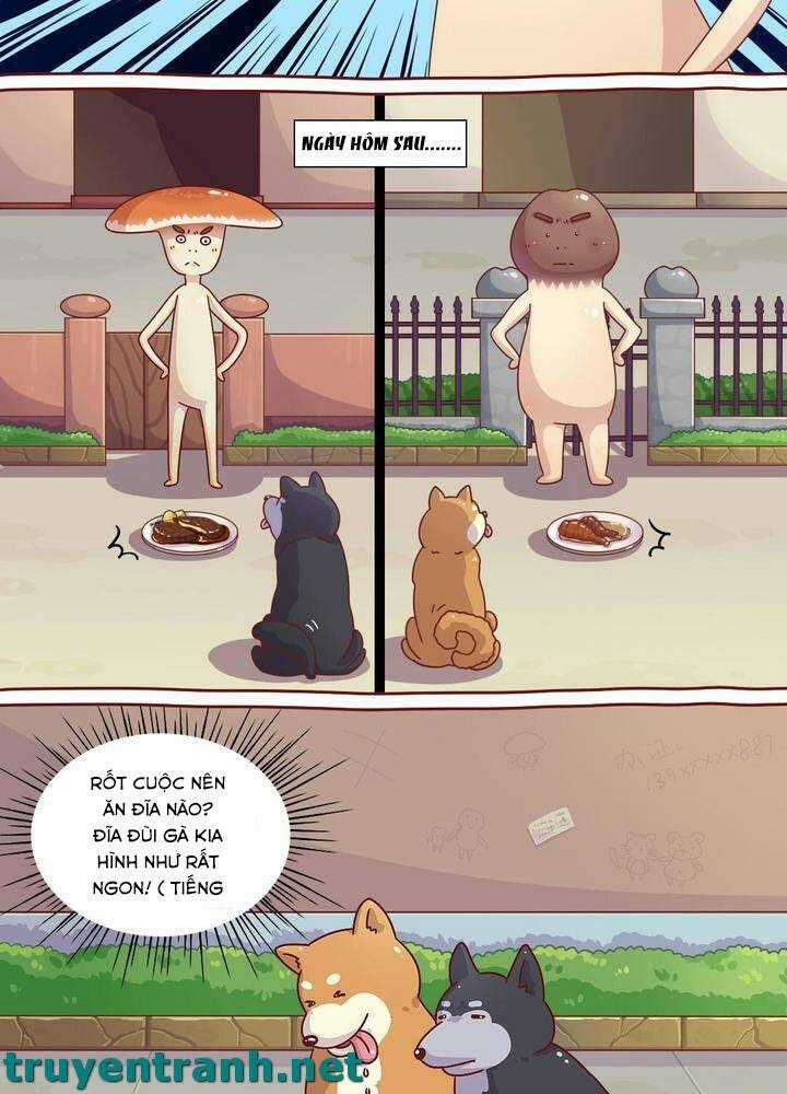 Cây Nấm Kì Khả - Chapter 6 - Trang 8