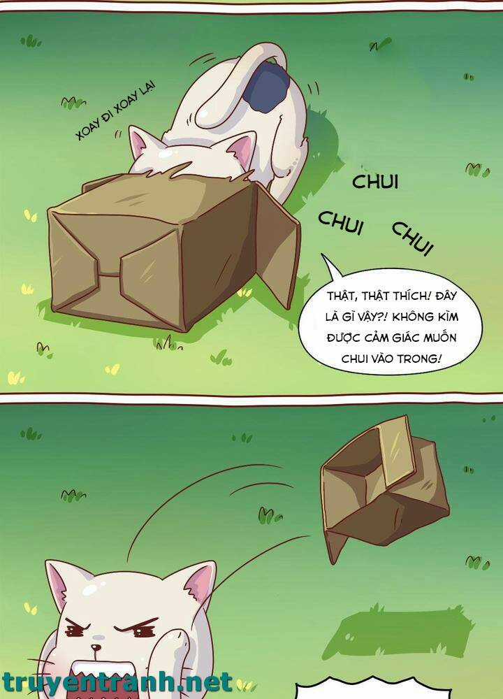 Cây Nấm Kì Khả - Chapter 7 - Trang 12