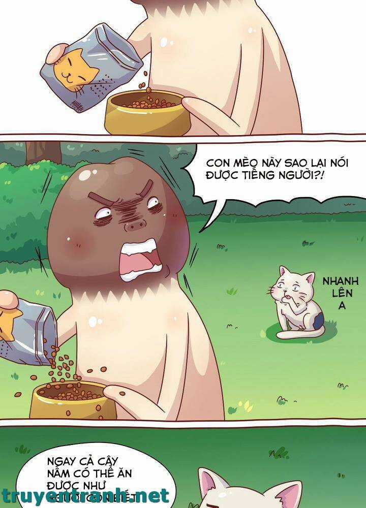 Cây Nấm Kì Khả - Chapter 7 - Trang 5