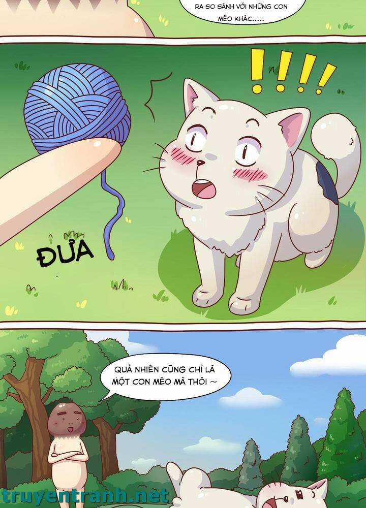 Cây Nấm Kì Khả - Chapter 7 - Trang 8