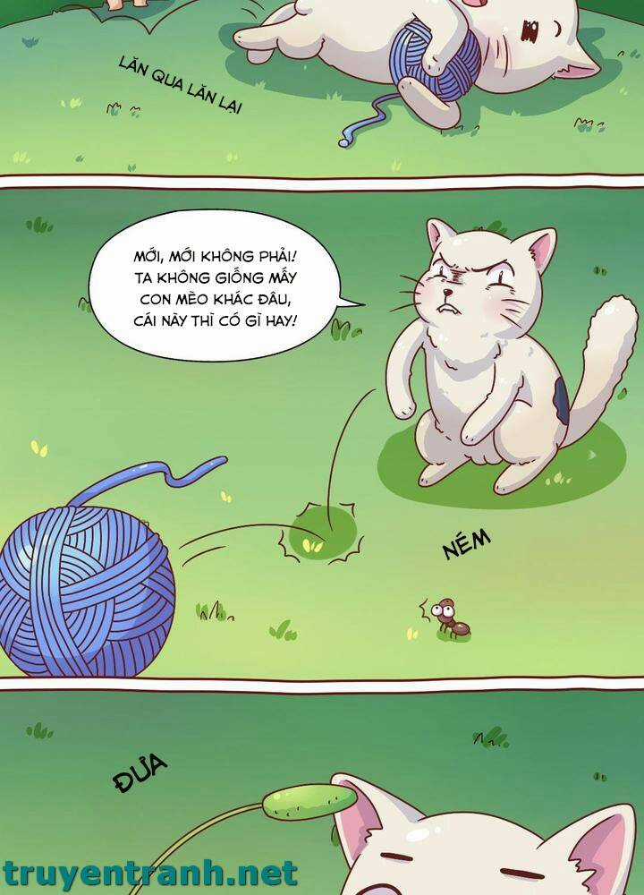 Cây Nấm Kì Khả - Chapter 7 - Trang 9