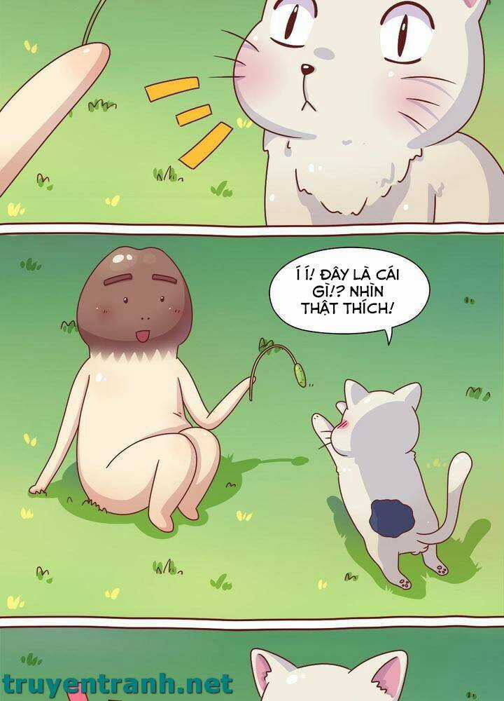 Cây Nấm Kì Khả - Chapter 7 - Trang 10