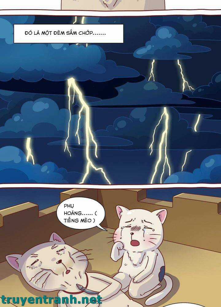 Cây Nấm Kì Khả - Chapter 8 - Trang 3