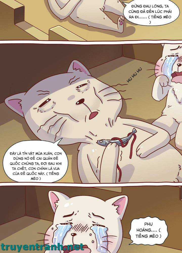 Cây Nấm Kì Khả - Chapter 8 - Trang 4