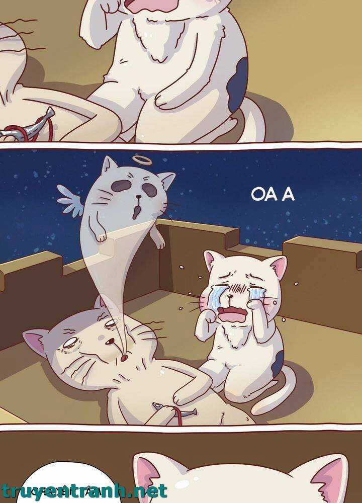 Cây Nấm Kì Khả - Chapter 8 - Trang 5