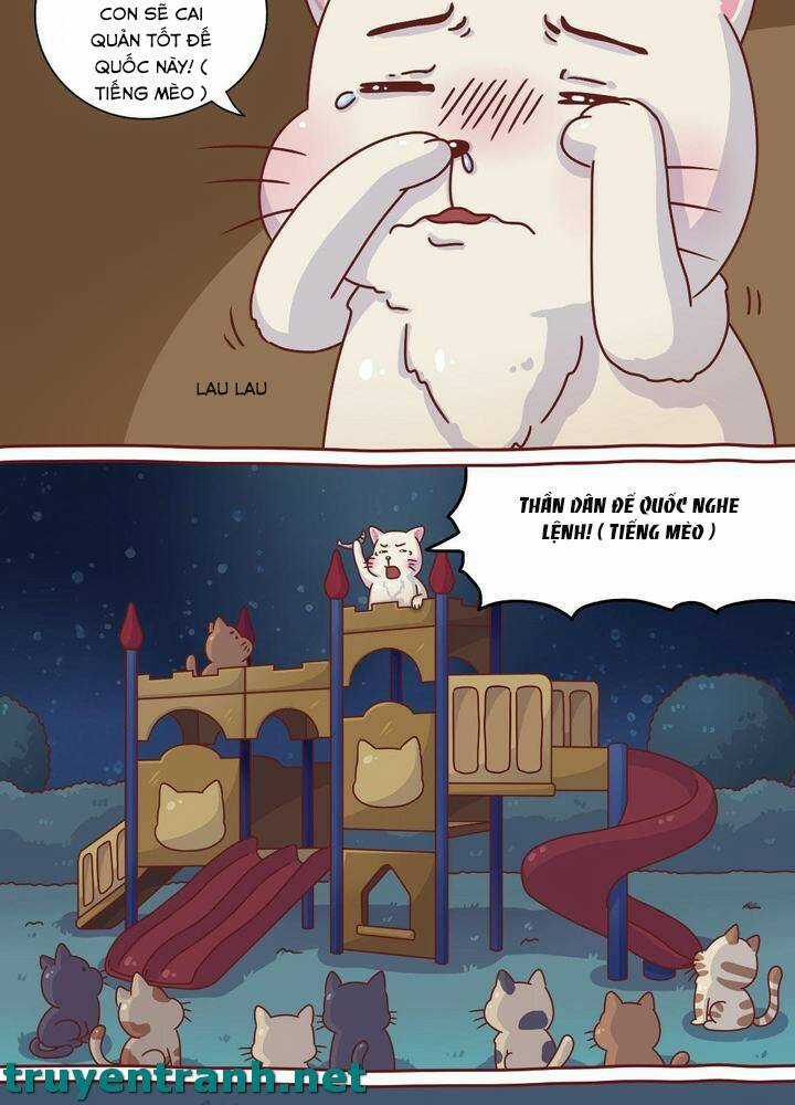 Cây Nấm Kì Khả - Chapter 8 - Trang 6