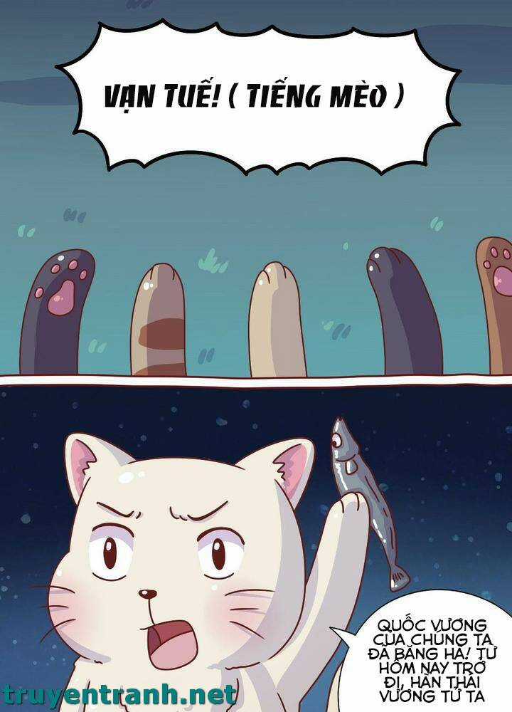 Cây Nấm Kì Khả - Chapter 8 - Trang 7